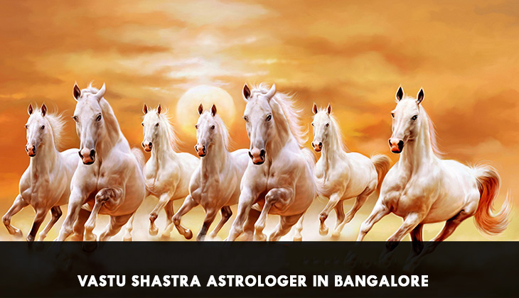 Vastu Shastra Astrologer